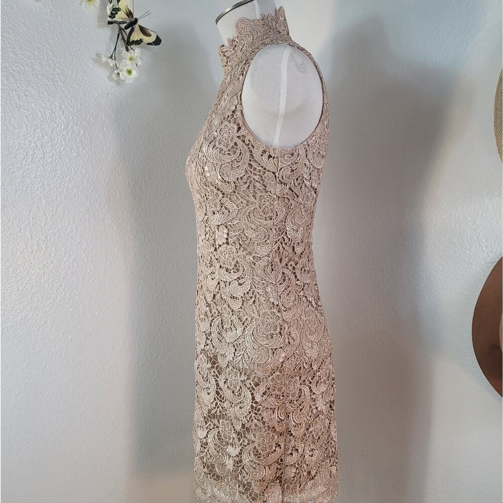 NWOT GRACIA Champagne Floral Lace Cocktail Sheath Dress Wedding Guest Elegant - Picture 10 of 16
